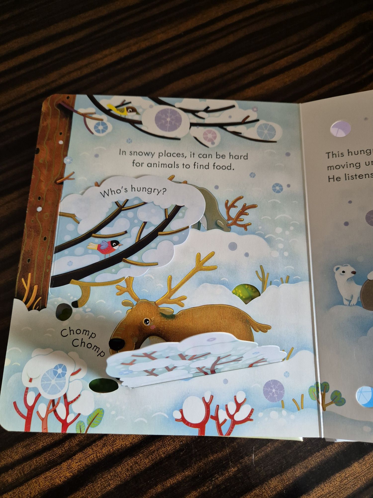 USBORNE Snowy places Peep inside
