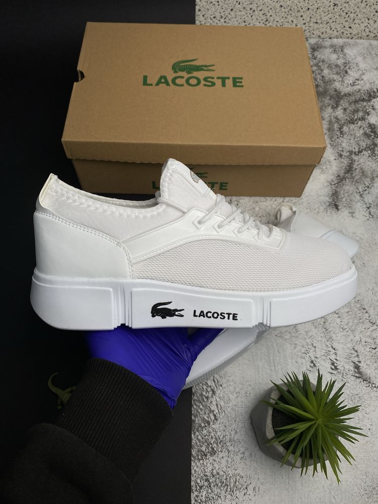 43 (27.5 см) та 44 (28.5 см) Кроссовки Lacoste White