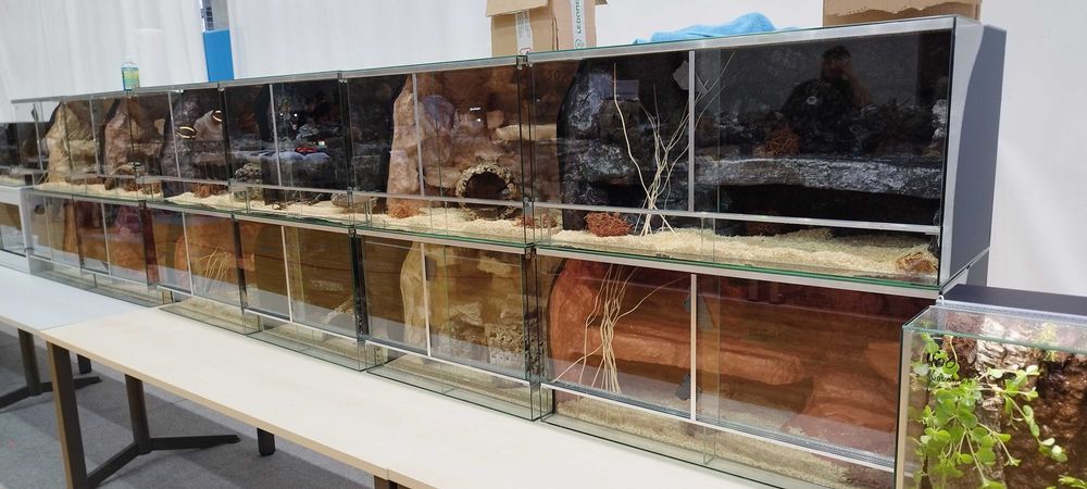 Terrarium pustynne dla gekona lamparciego 60x40x40 ( Exotic Leszno )