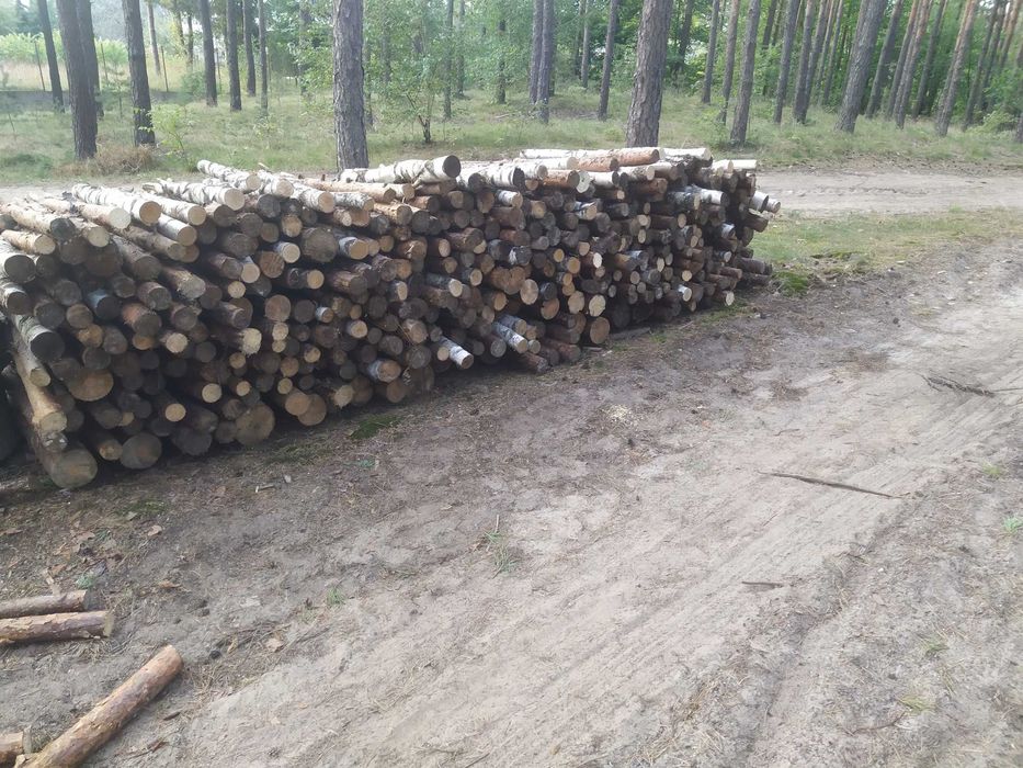 Drewno opałowe sosna z brzoza