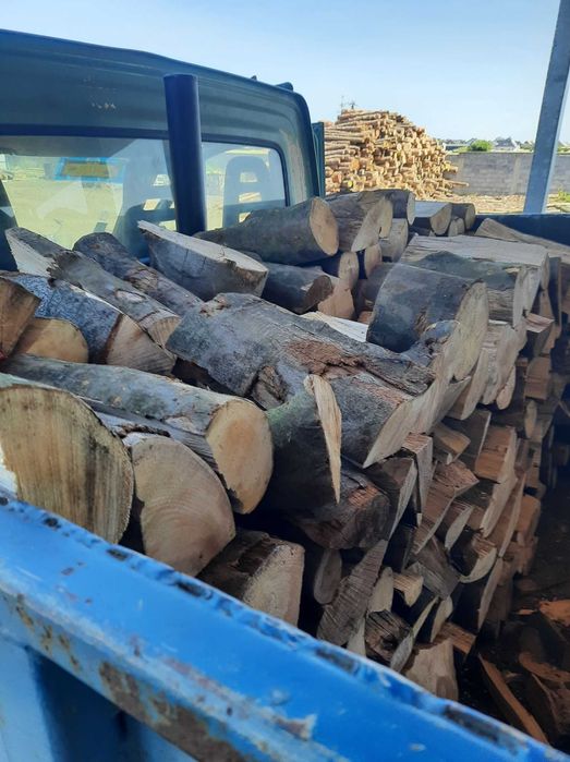 drewno kominkowe suche