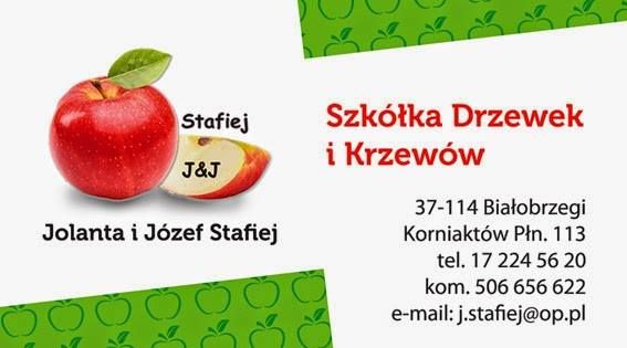 Drzewka Owocowe - Szkółka