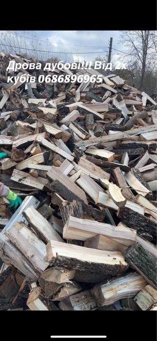 Дрова Київ та область от 2 м