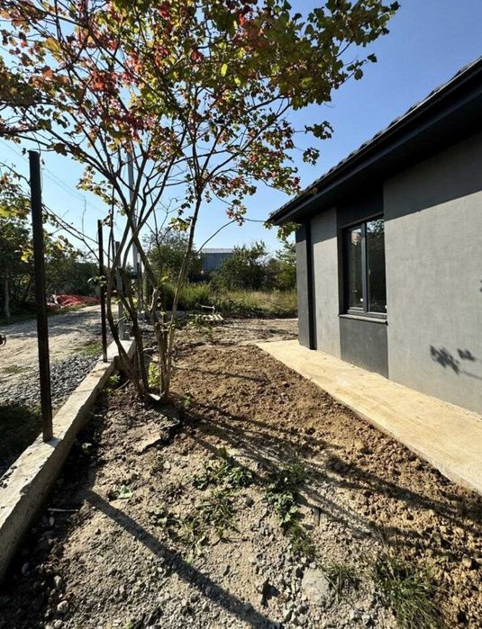 будинок в Лезнево