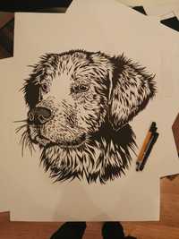 Rysunek: pies, cienkopis - brystol (50x69 cm), 250 g/m2