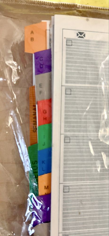 Subsituicao de organizer/fillofax