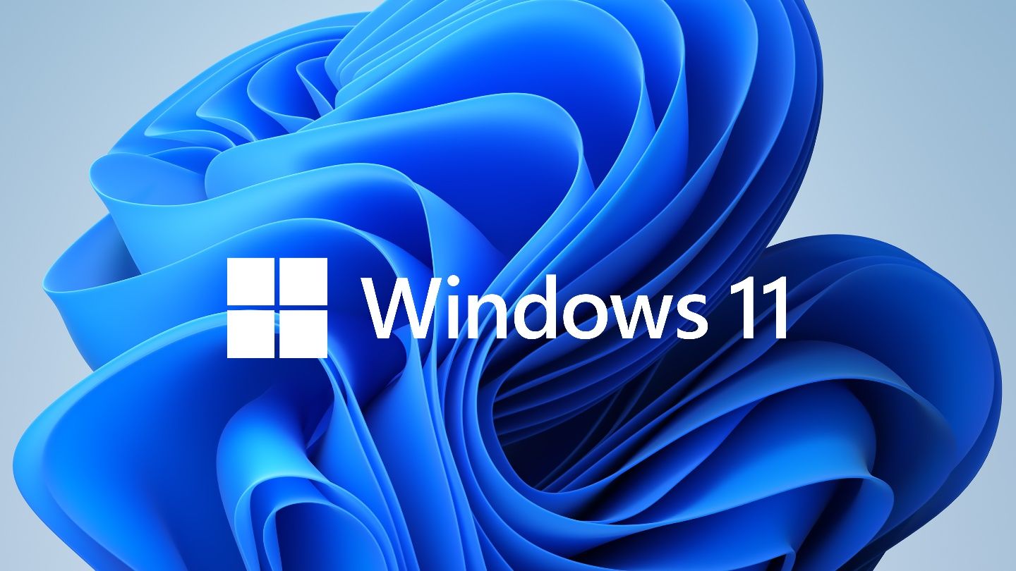 Windows 11 Pro / Home