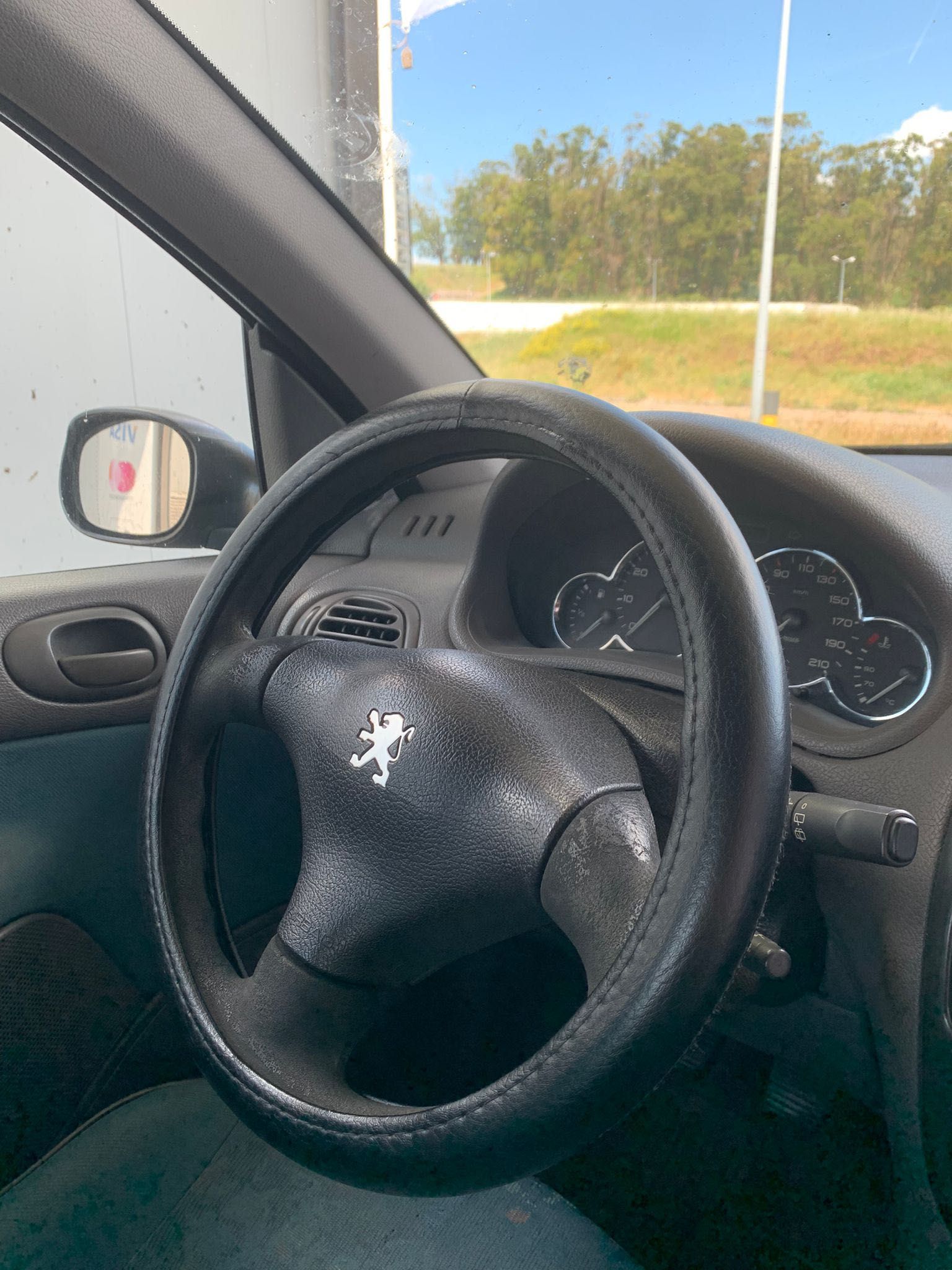 Peugeot 206 gasolina