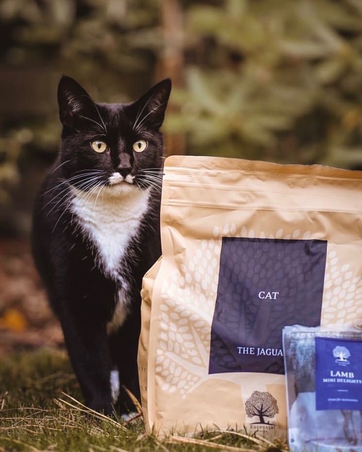 Essential Foods Jaguar Беззерновой корм для котов Все Стадии 3кг
