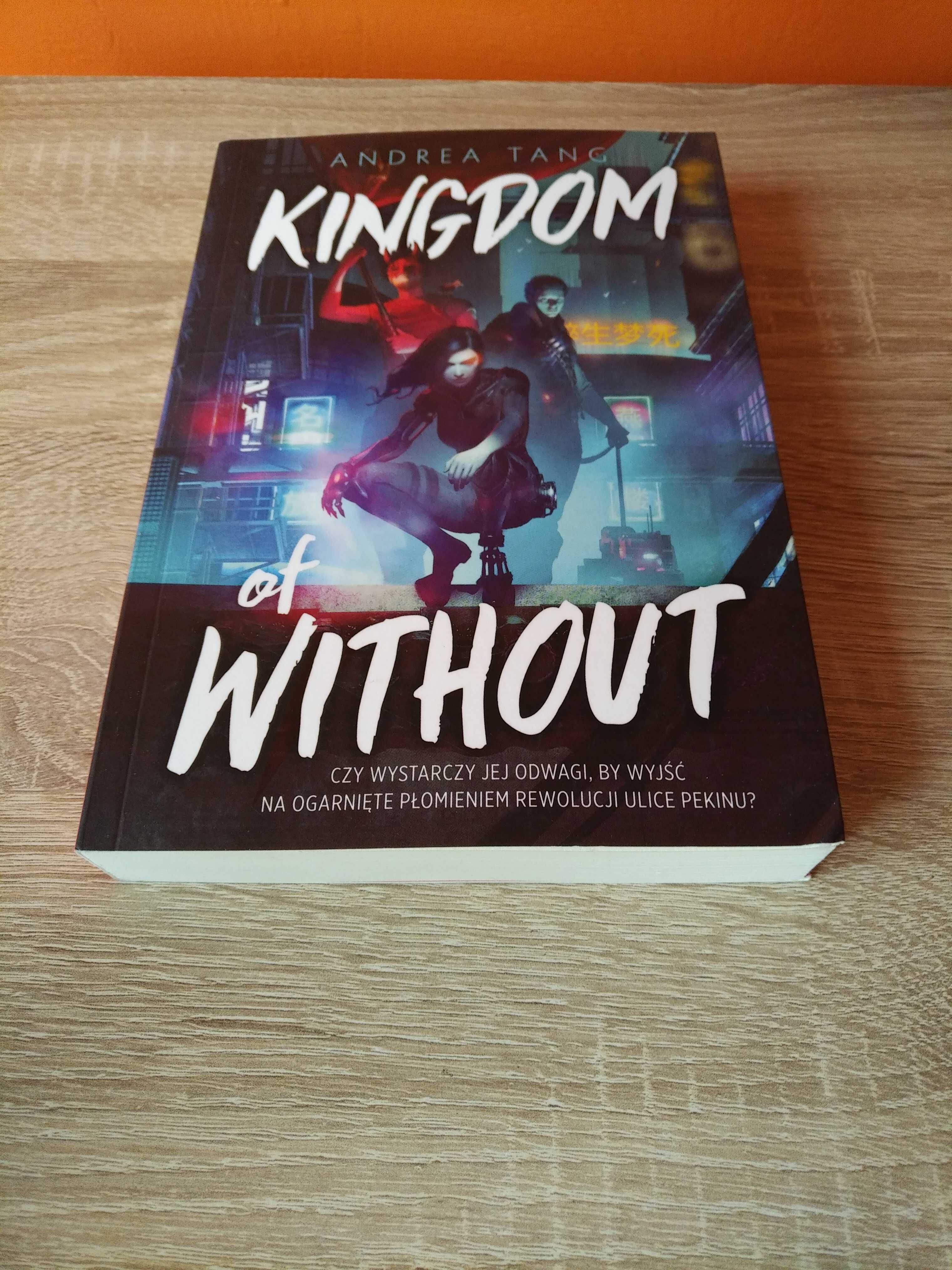 Kingdom of Without Andrea Tang