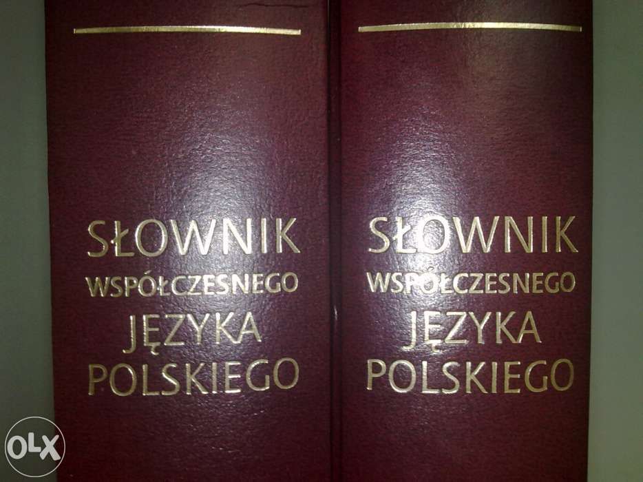 Słownik współczesnego języka polskiego Wa-wa 2001, 1396 stron