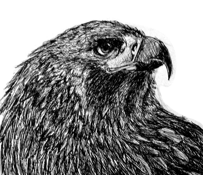 Desenho Realista Simples