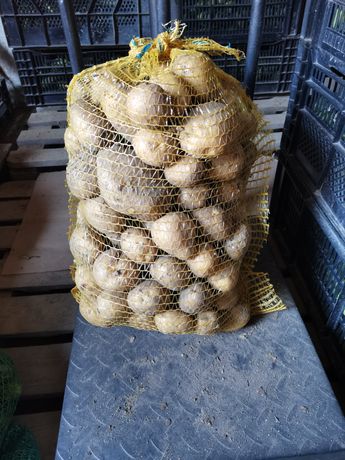Ziemniaki odmiana vineta dowóz gratis