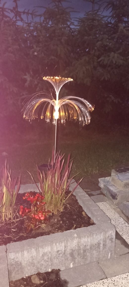 Lampki LED solarne