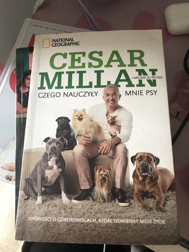 Książka Czego nauczyły mnie psy