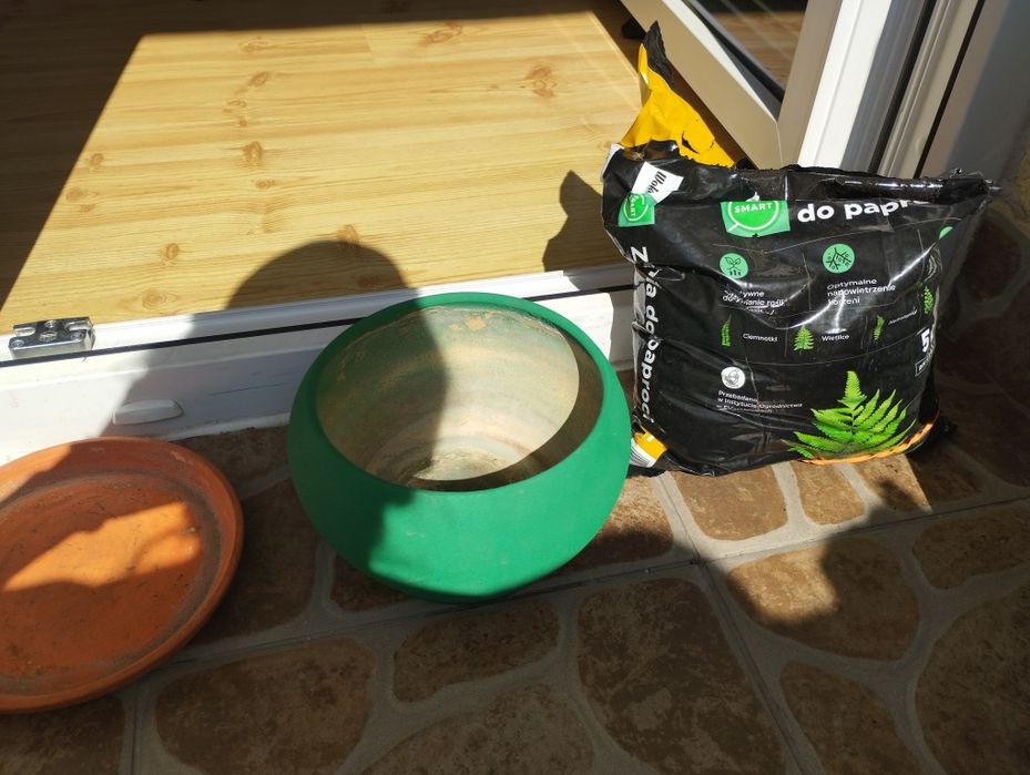 Sama ziemia do paproci nowa 2,5/