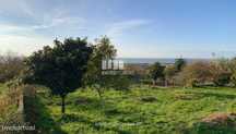 Venda de Terreno de construção, Areosa, Viana do Castelo