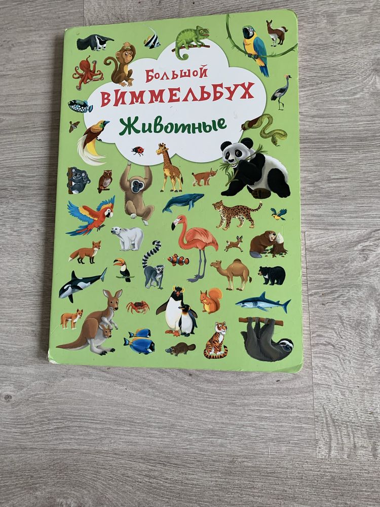 Книги виммельбух