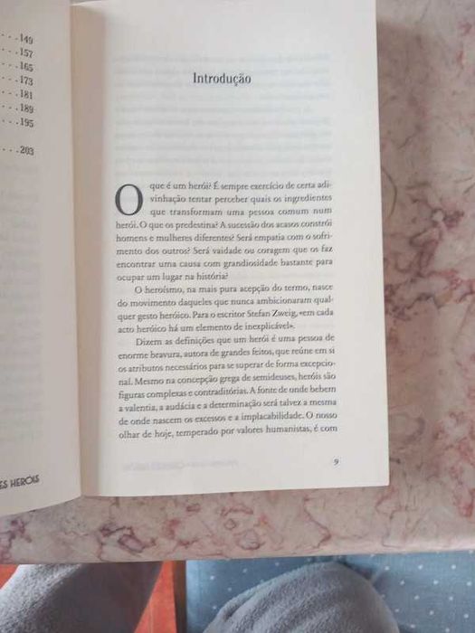 Livro- O Pequeno Livro dos Grandes Heróis-Sofia Coachat-Osório