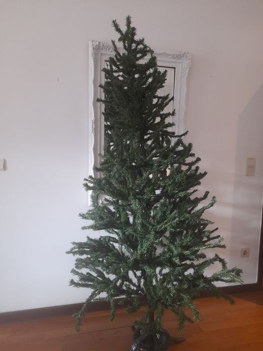 Pinheiro Canadiano de Natal artificial com 2,10 metros de altura 10