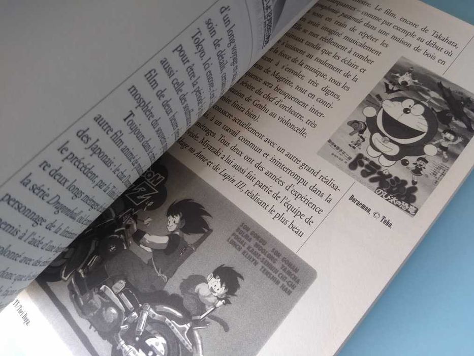 Les Ames Dessinées : du Cartoon aux Mangas Paperback – Luca Raffaelli