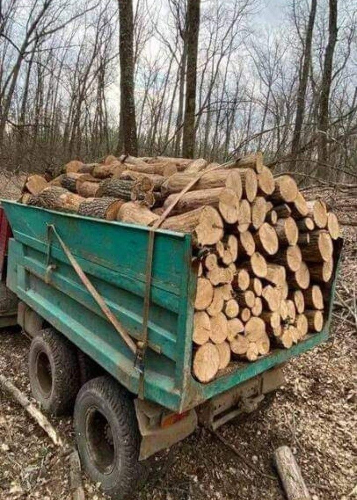 Дрова дуб твердих порід