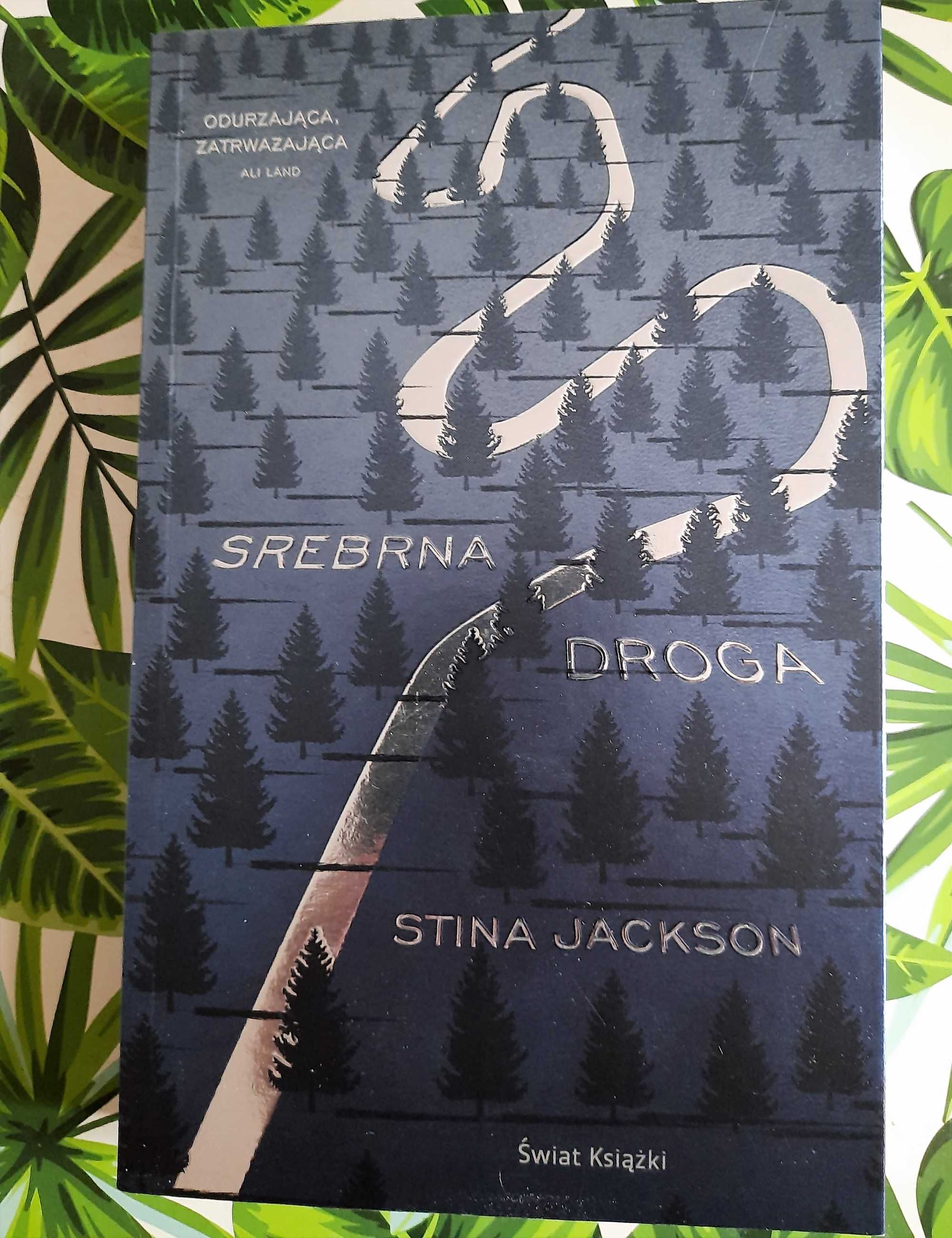 Stina Jackson Srebrna droga