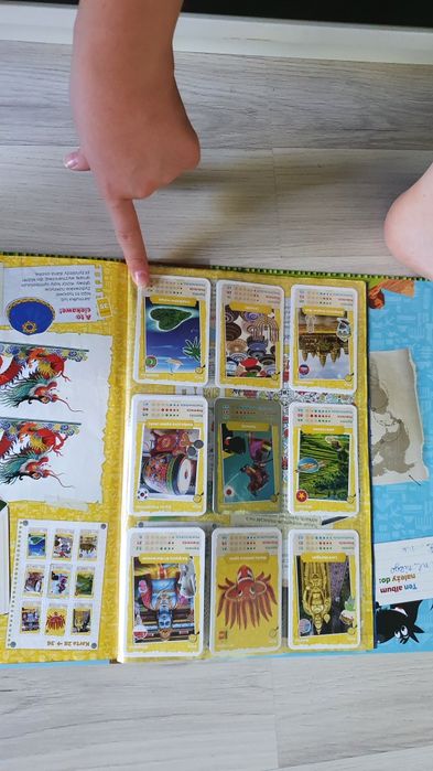 Album kolekcjonerski NETTO