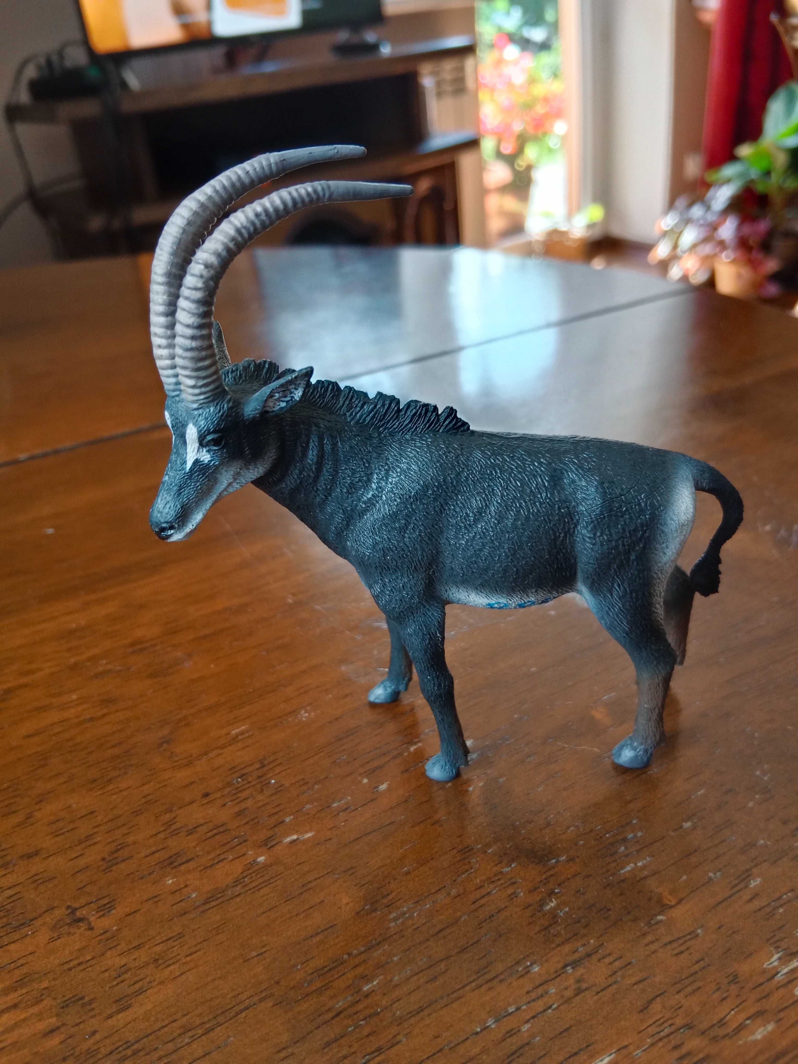 Antylopa collecta