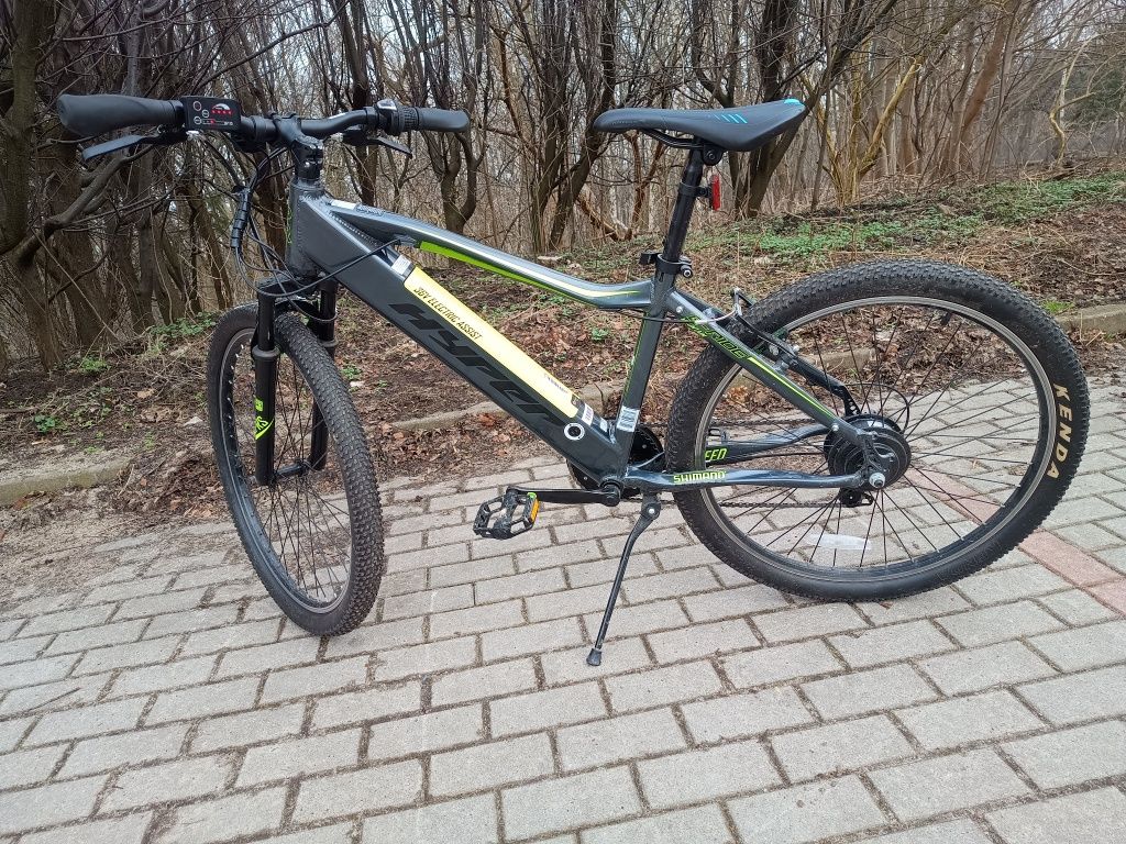 Rower elektryczny