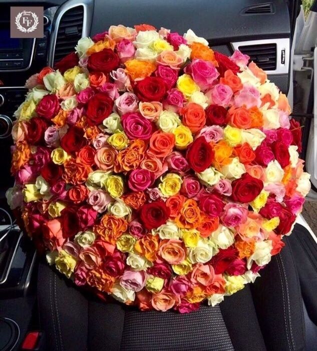 101 Роза ! Красная, белая!