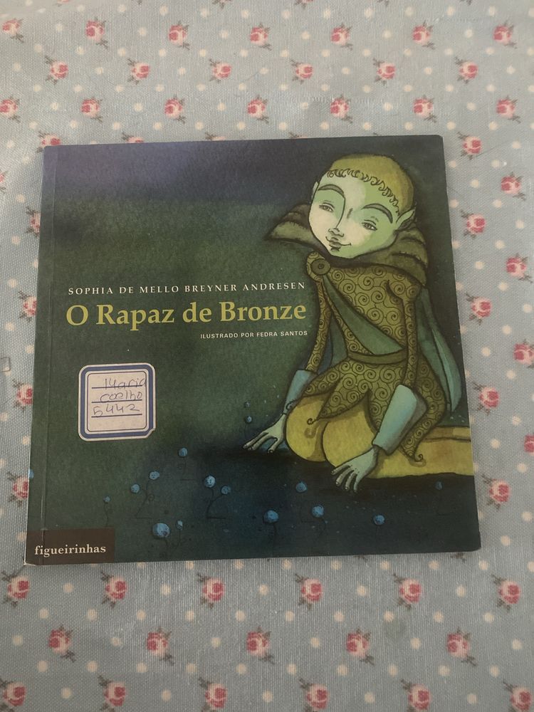 Livro O rapaz de bronze