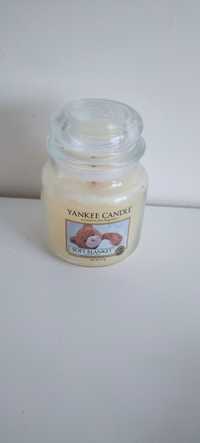 Świeca yankee candle soft blankiet 411g