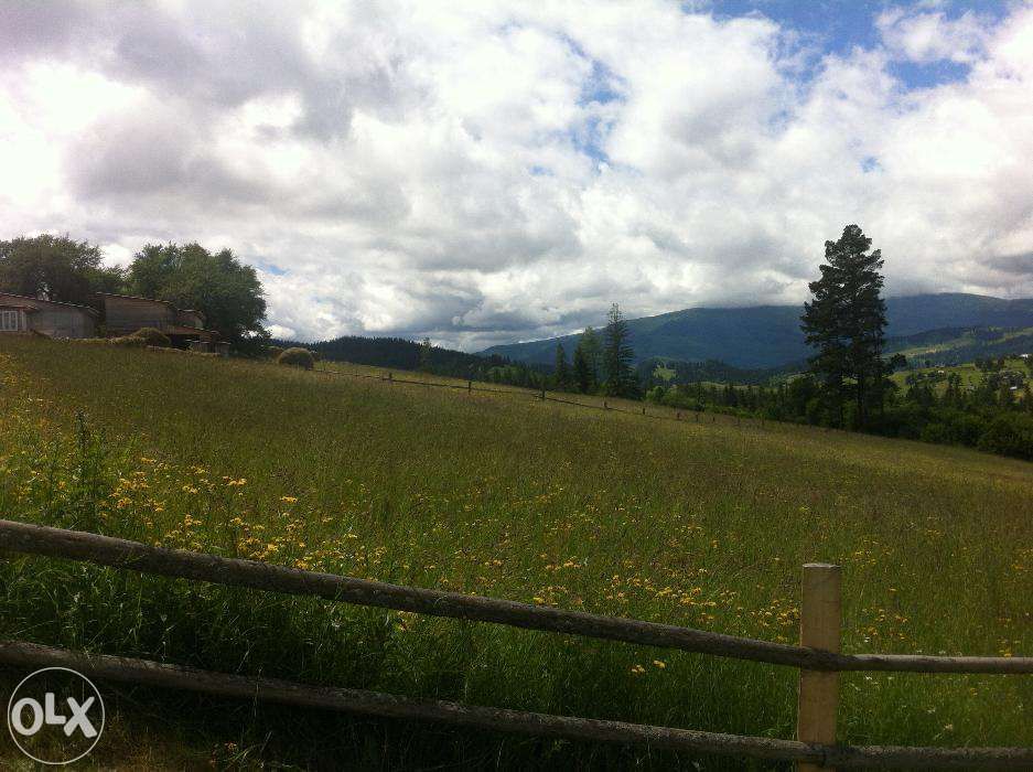 Продам обмін землю ділянку нерухомість в Карпатах (біля Буковель)