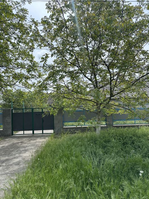 Продается ДОМ в Арцизе