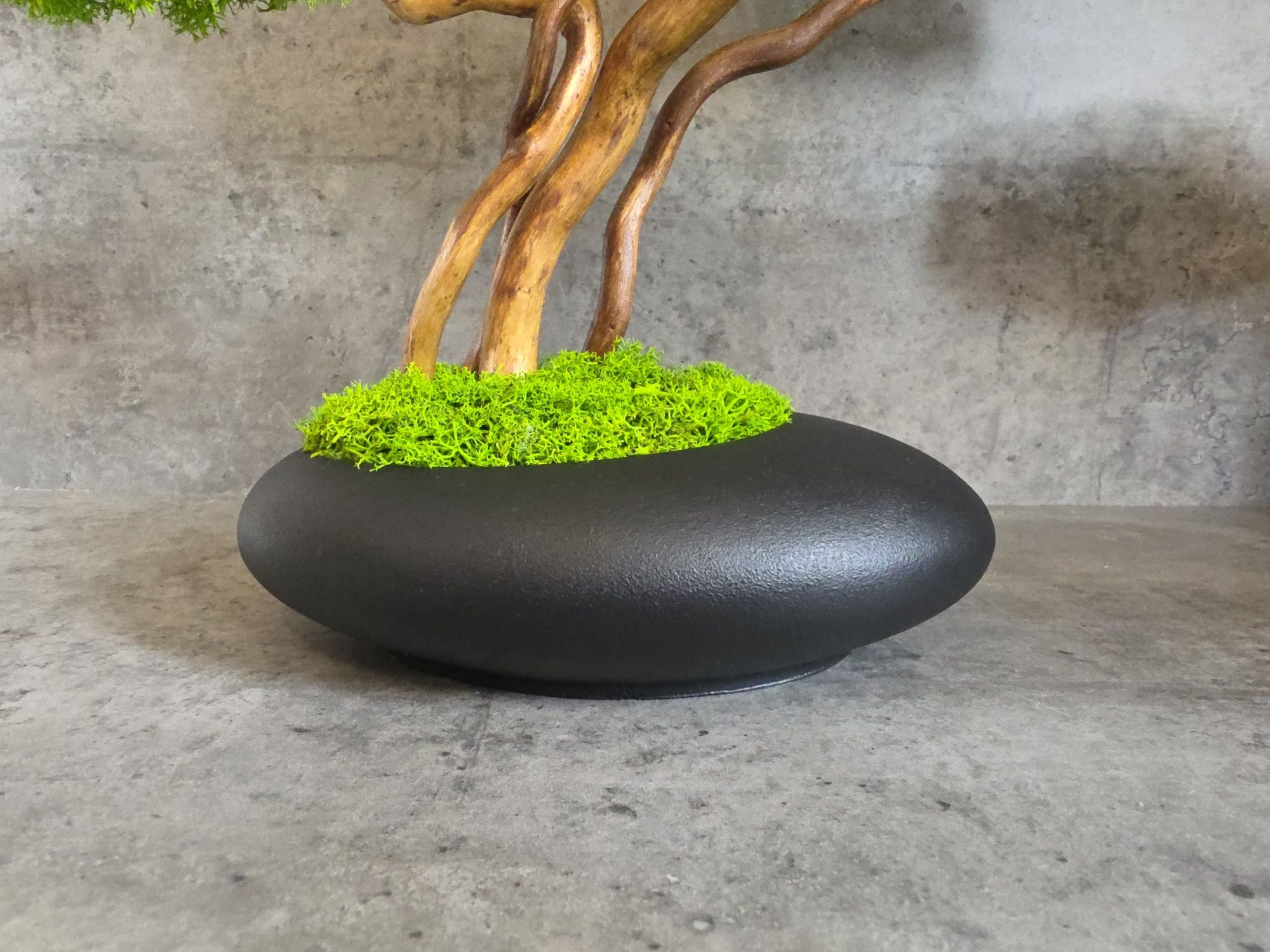 Drzewko Bonsai. Mech Chrobotek. Prezent. Dekoracje wnętrz.
