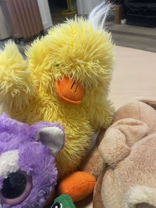 Conjunto de 11 peluches