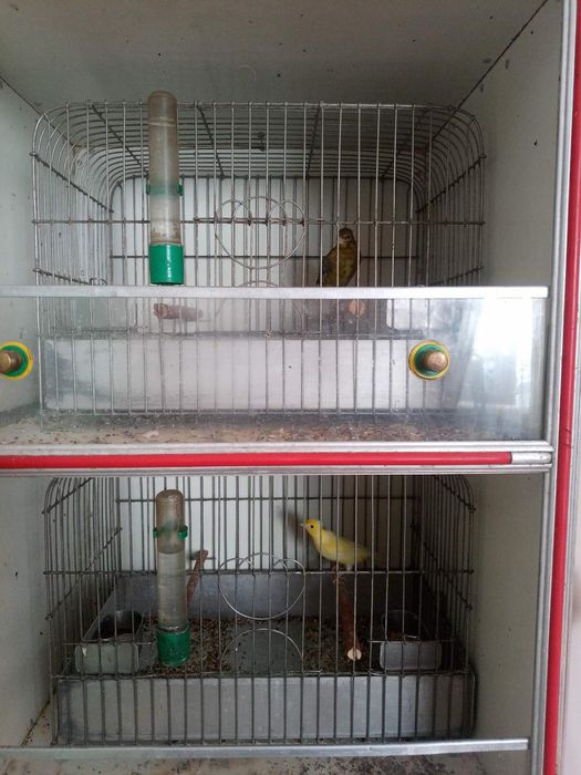 Продам клітку для олюбленця