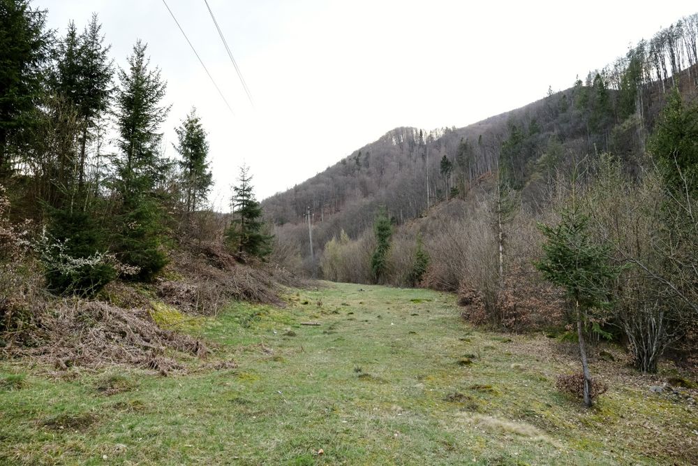 Продаж земельної ділянки в горах Закарпаття