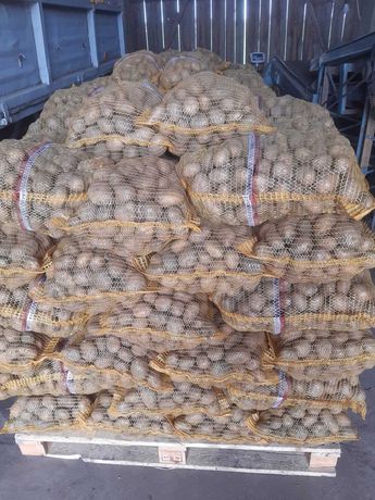 Sprzedam ziemniaki jadalne "DENAR" Cena 1 zł/kg , do negocjacji.