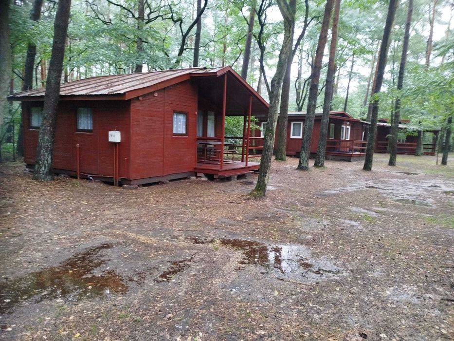 Sprzedam 12 domków na ośrodku wypoczynkowym Mazowieckie Kuj-Pomorskie.