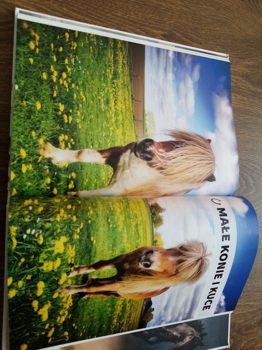 Wielka encyklopedia koni