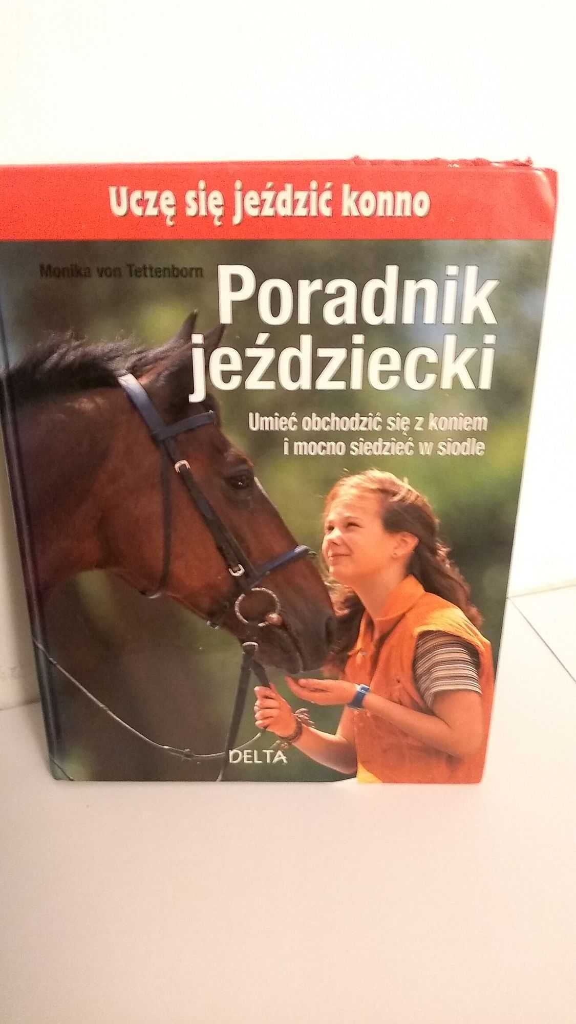 Poradnik jeździecki do nauki jazdy konnej dla początkujących