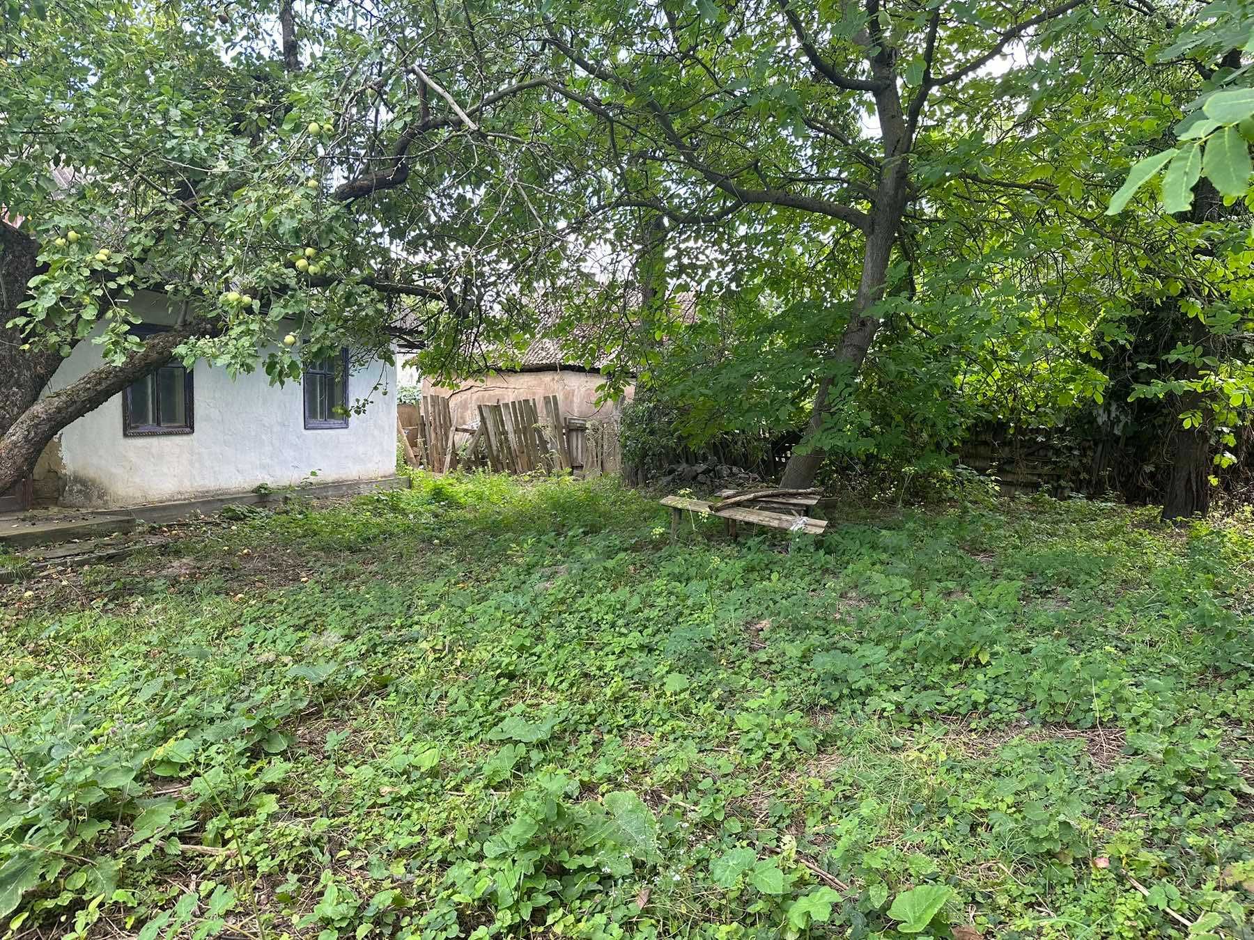 (7) Продам земельну ділянку в селі Тютьки 0102