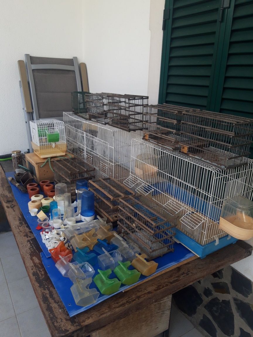 Gaiolas para pássaros, viveiros e acessórios