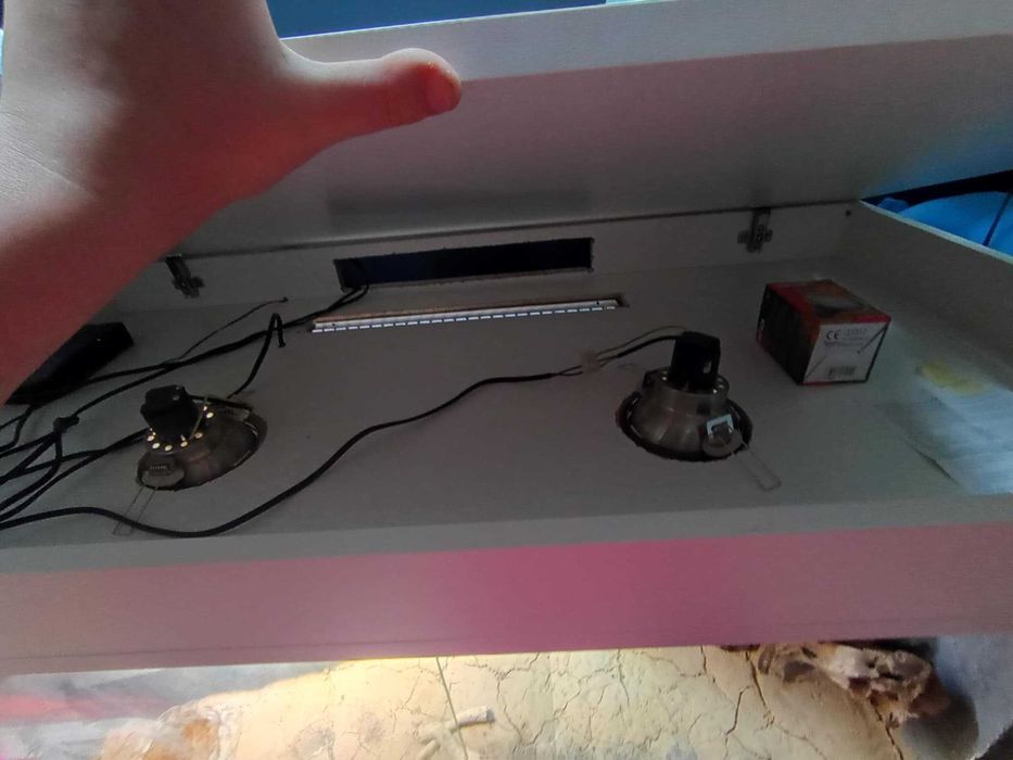 Agama Brodata TERRARIUM i akcesoria