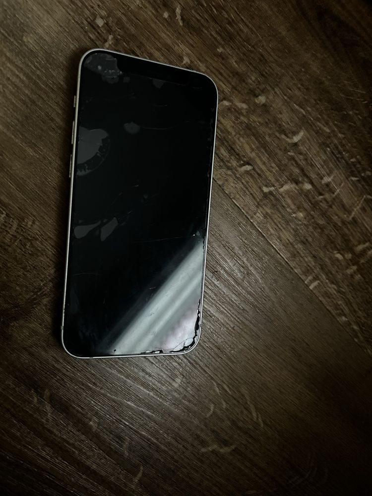 Iphone 12mini z caisami