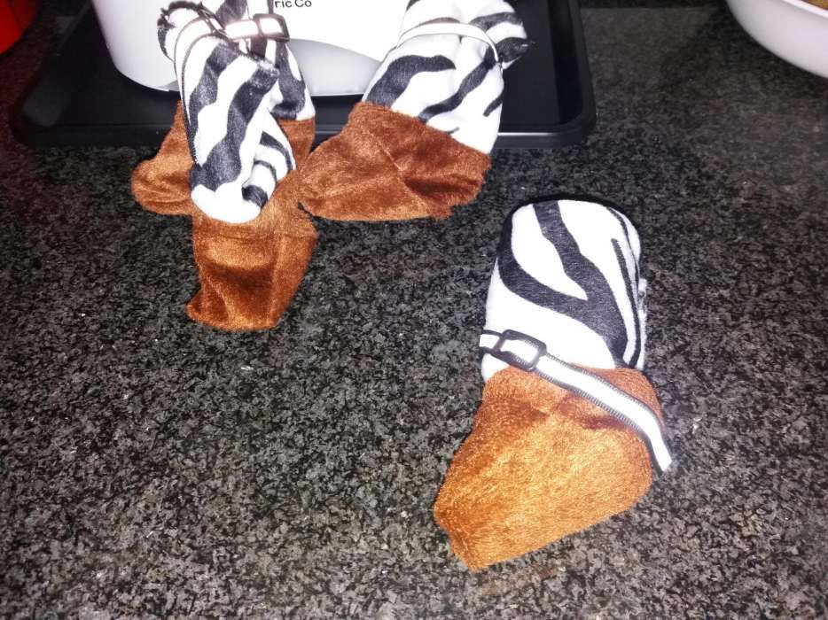 Pantufas de para cão de porte médio