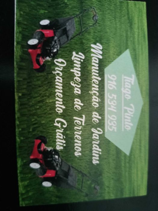 Serviços de jardinagem