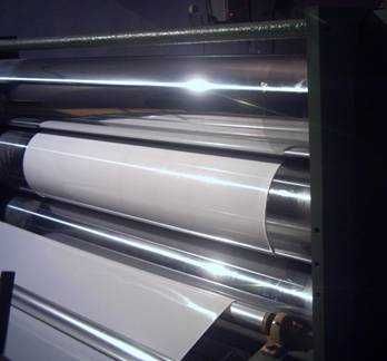 Стрічка видалення курячого посліду поліпропіленова